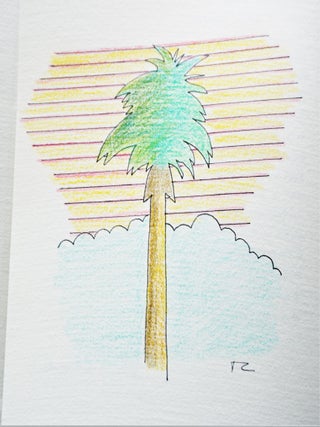 Under The Fortune Palms