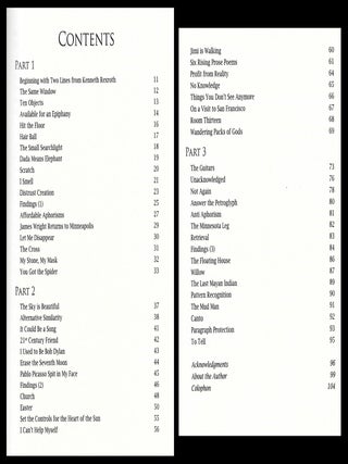 Cool Auditor: Poems