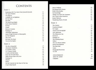 Cool Auditor: Poems