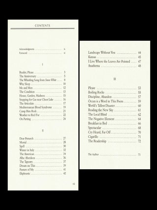 World's Tallest Disaster: Poems